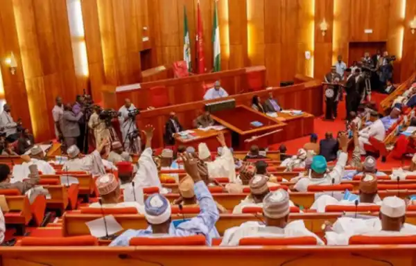 The 9th Senate: Full List Of Newly Elected Senators